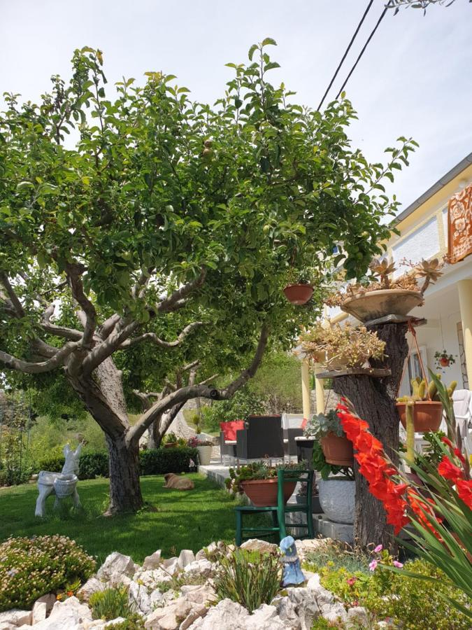 Apartmani I Sobe Jusic Раб Екстериор снимка